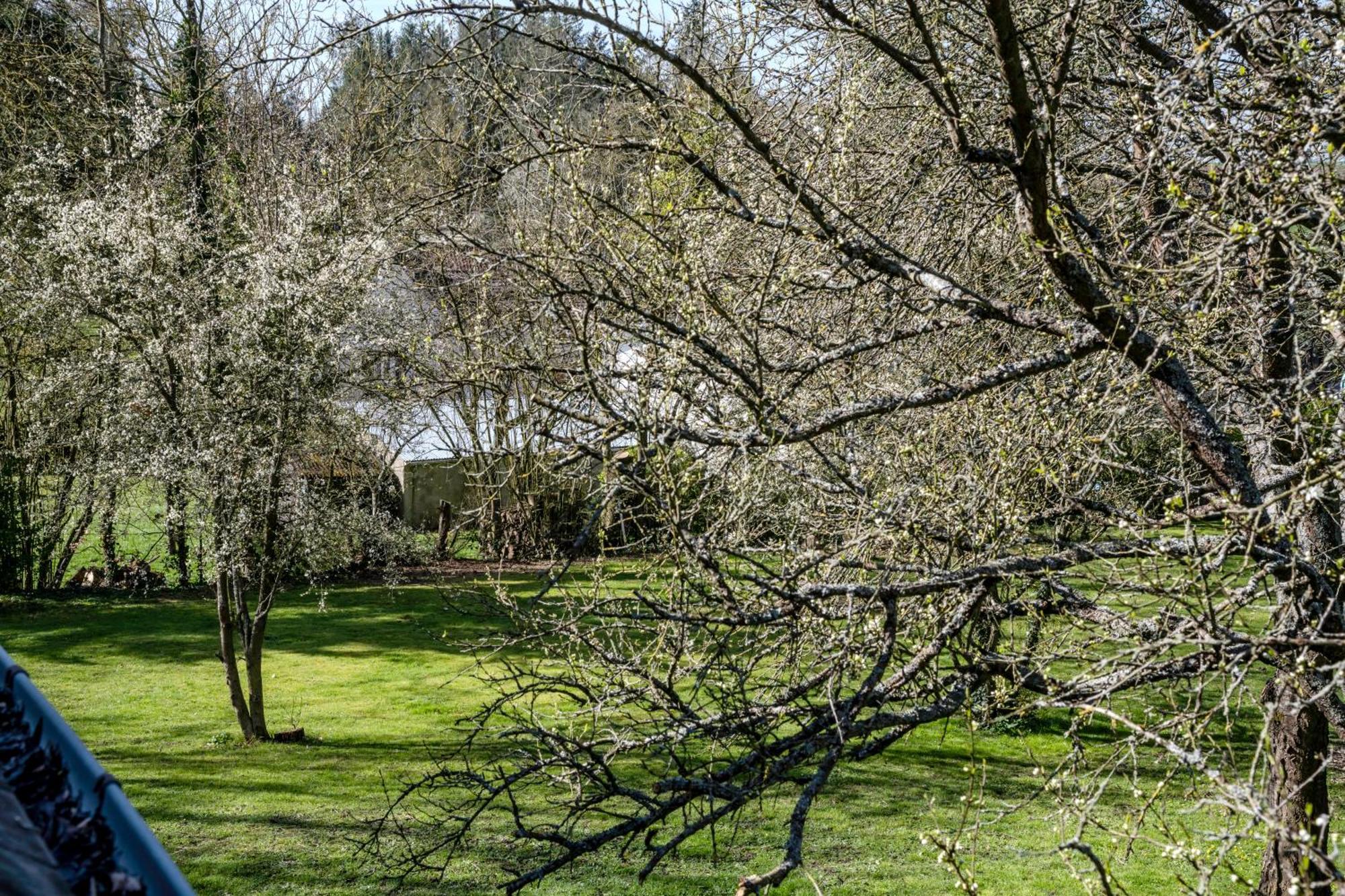 Aux Passiflores Cempuis Dış mekan fotoğraf